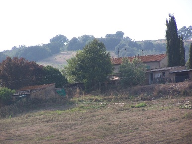 Foto Cessione attività a Civitella Paganico con 4 locali in vendita