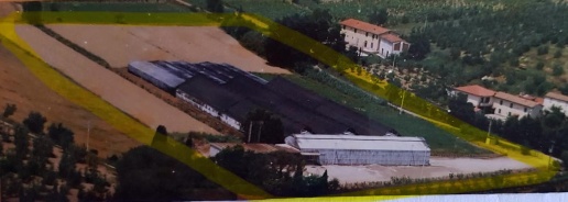 Foto Cessione attività a Cerreto Guidi Centro di 25000 m² con 20 locali
