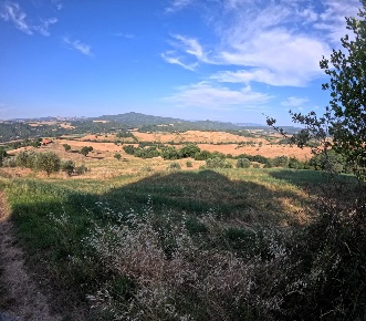 Foto Cessione attività a Pomarance Centro di 1500 m² con 15 locali