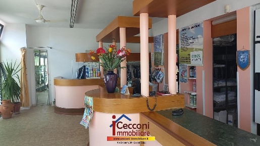Foto Attività commerciale a Empoli San Rocco - Lungarno di 480 m²
