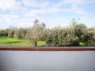 Foto Appartamento a San Giuliano Terme Colignola, Campo di 40 m² in vendita