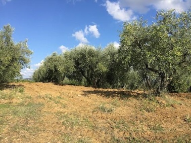 Foto Cessione attività a Lastra a Signa di 140 m² con 3 locali in vendita