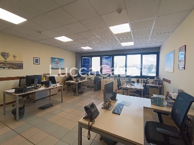 Foto Ufficio a Lucca Sant'Anna di 400 m² con 13 locali in affitto
