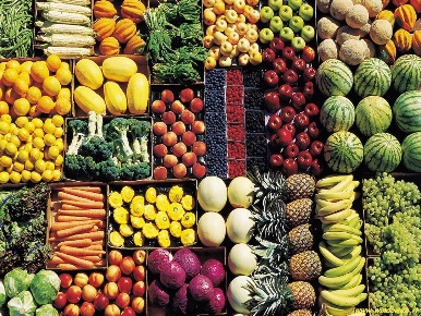 Foto Alimentari a Empoli Centro Storico di 20 m² con 1 locali in vendita