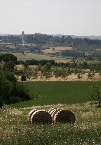 Foto Laboratorio a Peccioli Centro di 146 m² con 5 locali in vendita