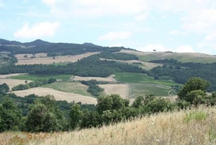 Foto Cessione attività a Volterra Centro con 10 locali in vendita