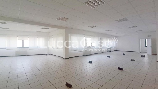 Foto Ufficio a Lucca Sant'Anna di 330 m² con 3 locali in affitto