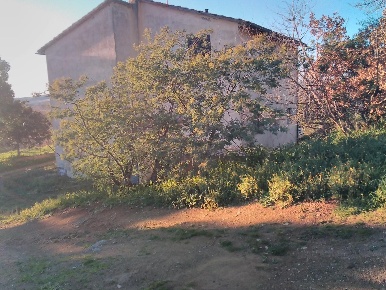 Foto Cessione attività a Grosseto Istia D'Ombrone - Poggio la Mozza