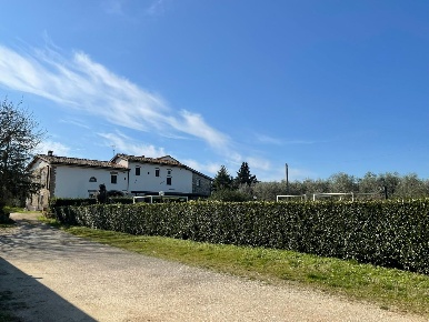 Foto Cessione attività a Lastra a Signa con 25 locali in vendita