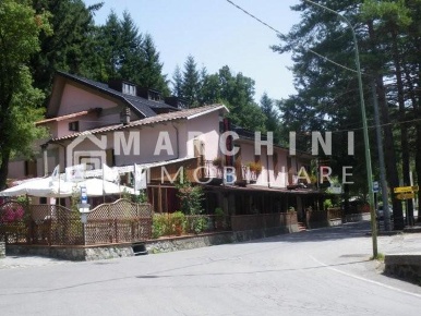 Foto Hotel a Vagli Sotto di 800 m² con 27 locali in vendita