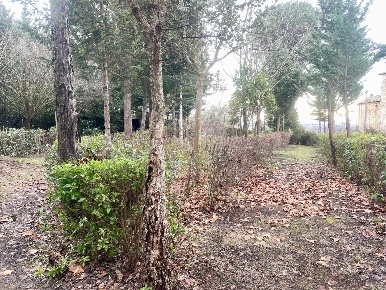 Foto Magazzino a Siena Agostoli - Montalbuccio di 33 m² con 1 locali