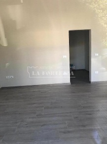 Foto Negozio a Pisa Porta a Lucca di 40 m² con 2 locali in affitto