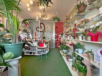 Foto Attività commerciale a Lucca Montuolo di 35 m² con 3 locali in vendita