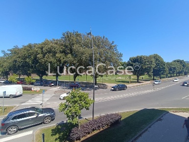 Foto Ufficio a Lucca Sant'Anna di 138 m² con 5 locali in affitto