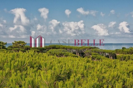 Foto Hotel a Pietrasanta di 700 m² con 40 locali in vendita