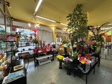 Foto Negozio a Vinci Spicchio-sovigliana di 80 m² con 1 locali in vendita
