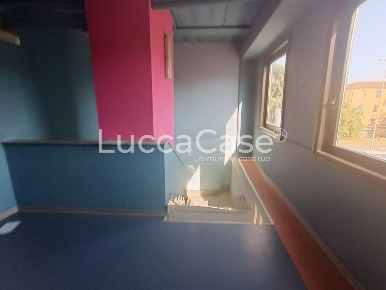 Foto Ufficio a Lucca San Vito di 250 m² con 3 locali in affitto