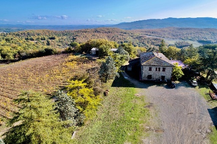 Foto Cessione attività a Murlo di 1900 m² con 16 locali in vendita