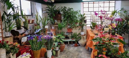 Foto Negozio a Carrara Centro di 90 m² con 2 locali in vendita