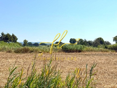 Foto Terreno agricolo a Cecina Marina di Cecina di 3170 m² in vendita