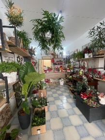 Foto Negozio a Gagliano del Capo Centro di 35 m² con 1 locali in vendita