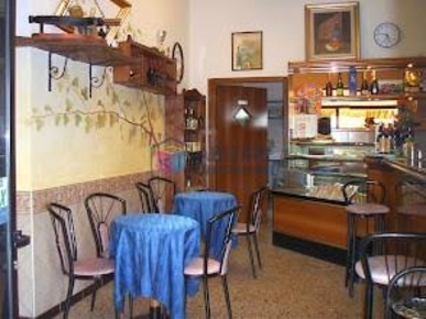 Foto Bar a Cecina San Pietro in Palazzi, Collemezzano, Buca del Gatto