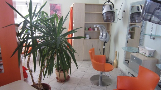 Foto Locale commerciale a San Giuliano Terme Ghezzano di 60 m² con 2 locali