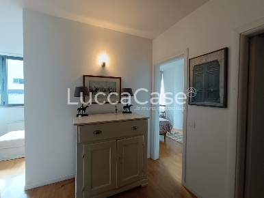 Foto Ufficio a Lucca San Concordio di 42 m² con 2 locali in affitto
