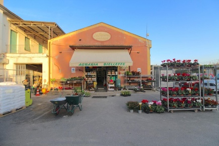Foto Negozio a Casciana Terme Lari La Capannina di 150 m² con 5 locali