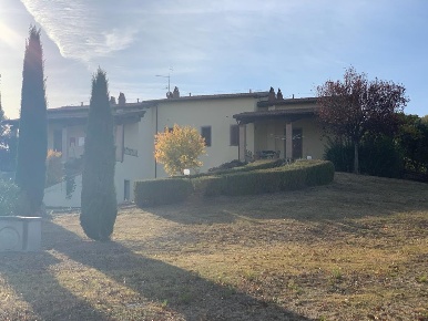 Foto Cessione attività a Castel del Piano di 60000 m² con 10 locali
