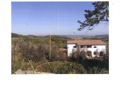 Foto Cessione attività a San Miniato di 46690 m² con 9 locali in vendita