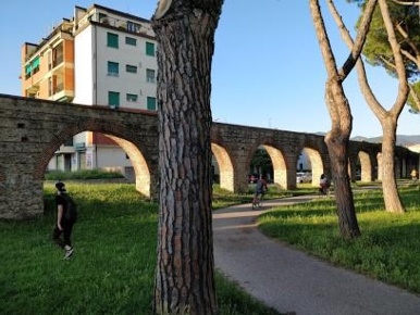 Foto Locale commerciale a Pisa Pratale di 35 m² con 1 locali in affitto