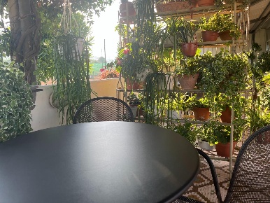 Foto Attività commerciale a Carrara Avenza di 600 m² con 30 locali