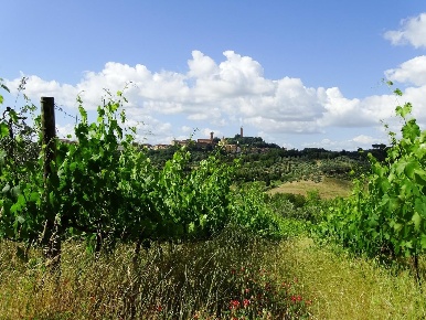 Foto Cessione attività a San Miniato Centro Storico con 18 locali