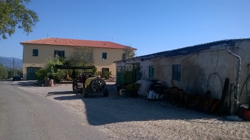 Foto Cessione attività a Cerreto Guidi Centro con 20 locali in vendita