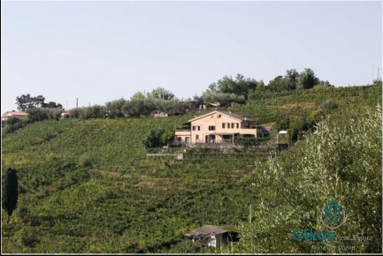 Foto Hotel a Massa Romagnano di 5275 m² con 6 locali in vendita