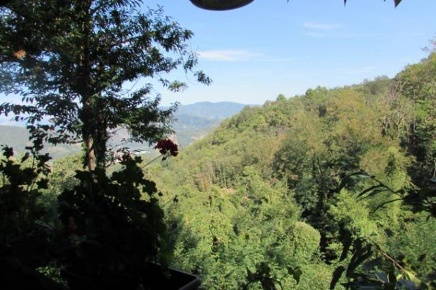 Foto Locale commerciale a Borgo a Mozzano Valdottavo di 550 m² con 3 locali
