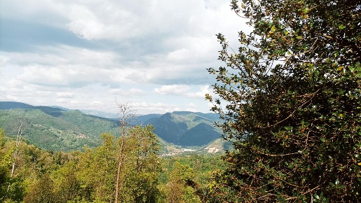 Foto Ristorante a Borgo a Mozzano Centro di 740 m² con 6 locali in vendita