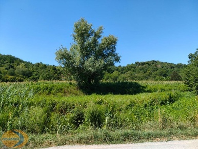 Foto Terreno agricolo in Via Brianza, La Valletta Brianza Perego in vendita