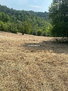 Foto Terreno agricolo a Urbino di 6000 m² in vendita