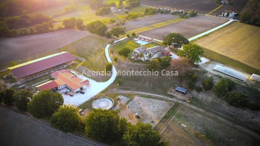 Foto Attività commerciale in Via San Severo, San Lorenzo in Campo