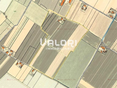 Foto Terreno agricolo in VIA STROCCA DI SAN BIAGIO, Faenza in vendita