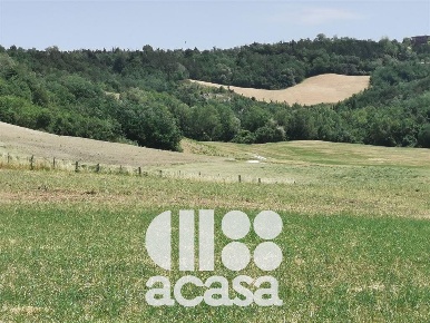 Foto Cessione attività a Mercato Saraceno Centro con 1 locali in vendita