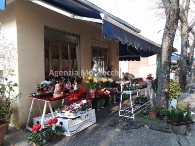 Foto Negozio a Vallefoglia Montecchio di 38 m² con 1 locali in vendita