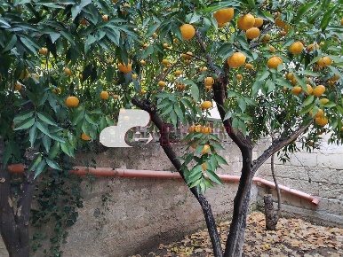 Foto Negozio in VIA MADONNA DEL POZZO, Capurso di 122 m² con 2 locali