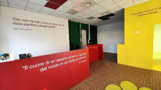 Foto Negozio a Casatenovo di 190 m² con 6 locali in vendita