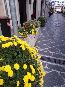 Foto Locale commerciale in VIA CANNAVINA, Campobasso Centro Storico