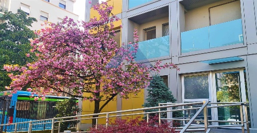 Foto Ufficio in Via Manzoni, Monza Centro Storico di 30 m² con 1 locali
