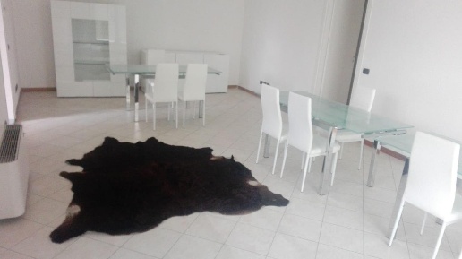 Foto Ufficio in piazza Vittorio Emanuele II, Lodi Vecchio Centro di 150 m²