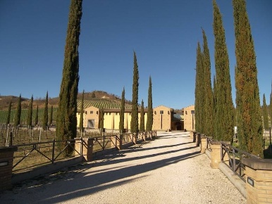 Foto Attività commerciale a Ficulle di 360 m² con 10 locali in vendita
